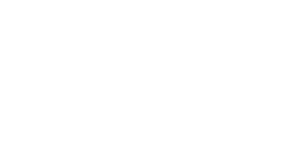 The Perritt Group